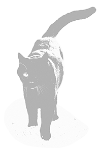Log any event for your cats